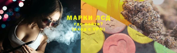 гашик Горняк