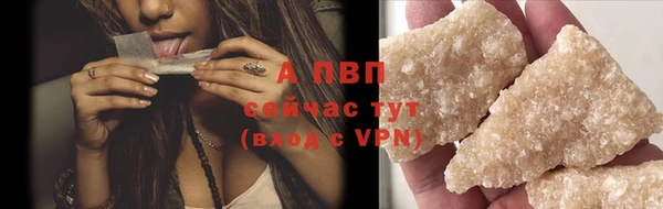 гашик Горняк