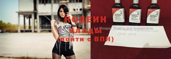 гашик Горняк