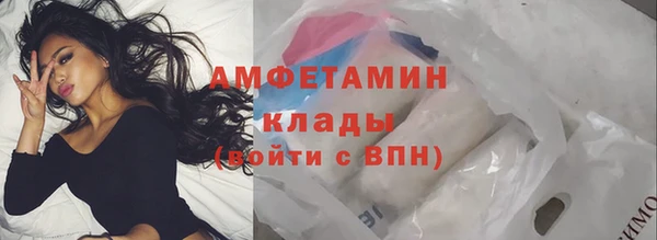 гашик Горняк