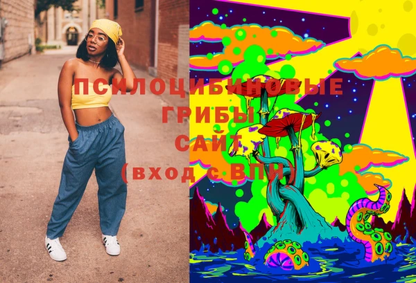 гашик Горняк