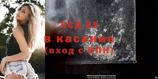 гашик Горняк