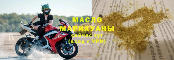 гашик Горняк