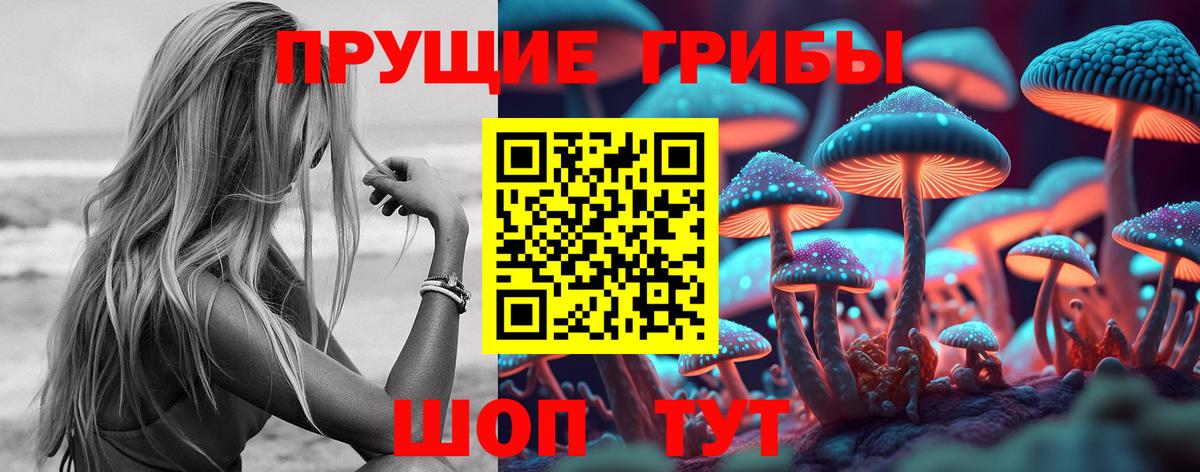 Галлюциногенные грибы Cubensis  Псилоцибиновые грибы мицелий  Гусь-Хрустальный  Вход с VPN 