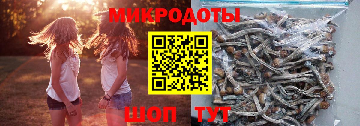 Псилоцибиновые грибы Psilocybe Гусь-Хрустальный