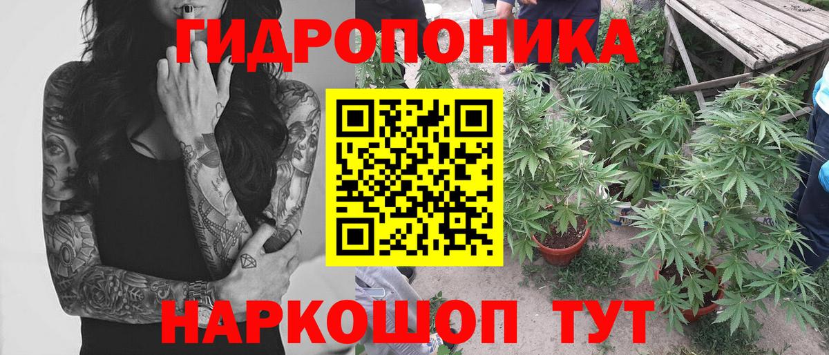 Бошки марихуана OG Kush Гусь-Хрустальный